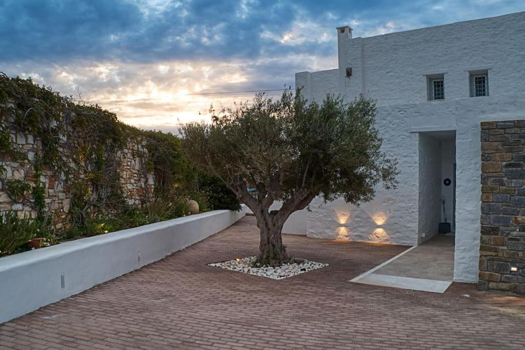 Grand Villa Reve Науса Екстериор снимка